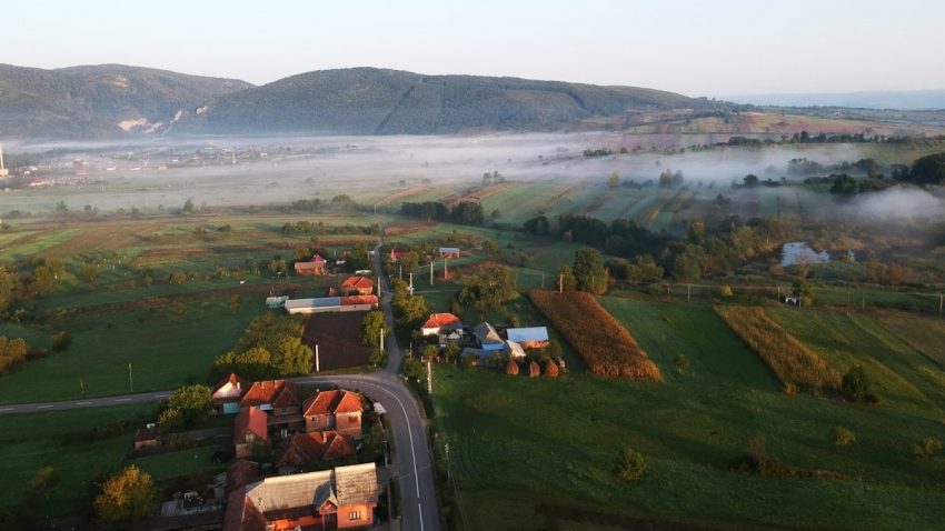aerial photography of builings